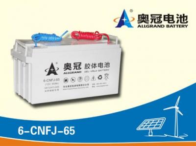 奧冠蓄電池6-CNFJ-65
